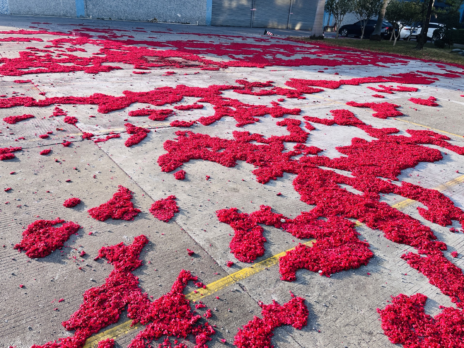 1686017254532883.jpg 满地红.jpg